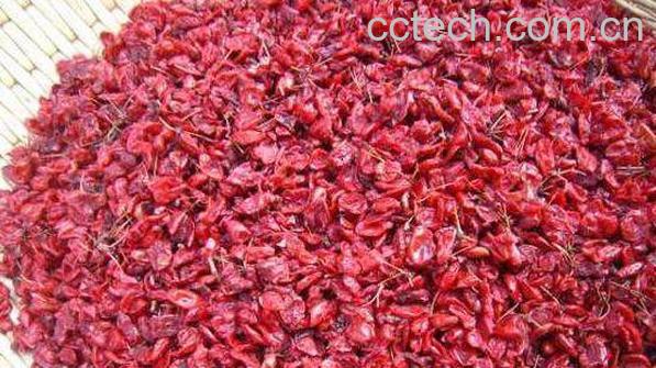 山茱萸泡水喝的功效与作用-0