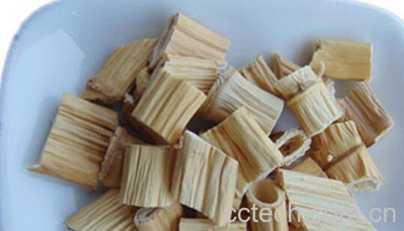 苇子根的功效与作用-1