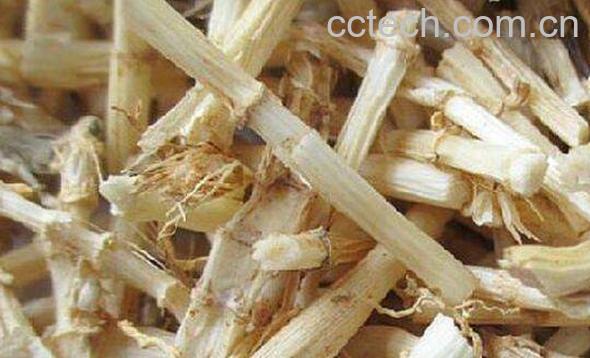 白茅根的功效与作用及禁忌-1