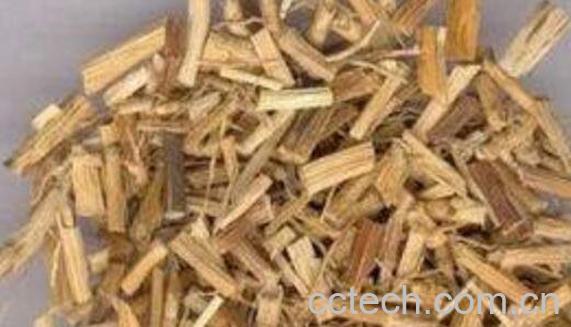 山茅根的功效与作用-0