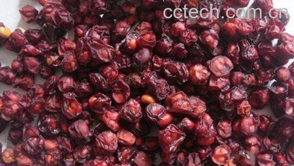 五味子泡水好喝吗 五味子泡水喝的方法-0