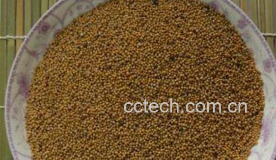 菟丝子泡水喝的功效与作用 菟丝子泡水喝的禁忌-0