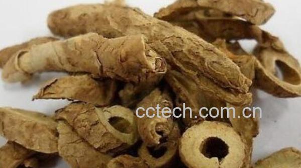 刺五加皮的功效与作用 刺五加皮的药用价值-1