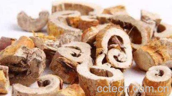 桑树皮的功效与作用 桑树皮的药用价值-0