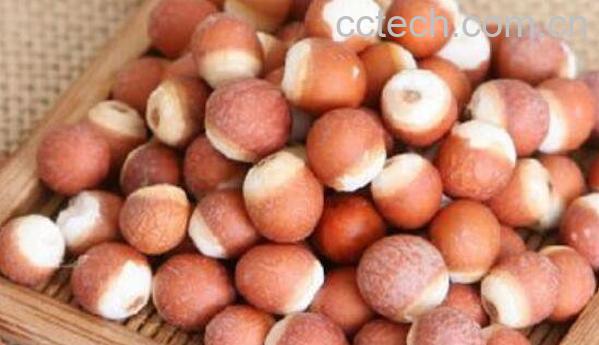 芡实的功效与作用 芡实的禁忌-1