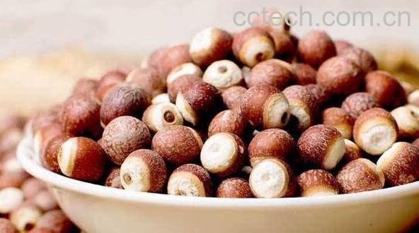 芡实的功效与作用 芡实的禁忌-0