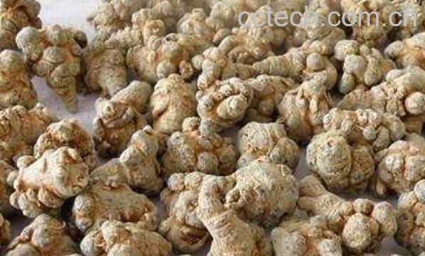 土三七泡酒的功效与作用 土三七中毒后如何解毒-0