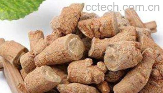 土三七的功效和作用 土三七的食用方法-0