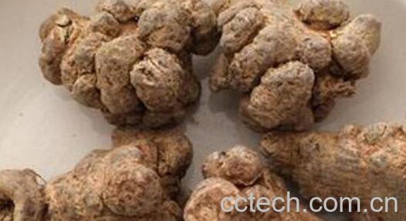 土三七的功效和作用 土三七的食用方法-1