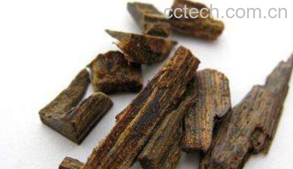 沉香的功效与作用及药用价值-1