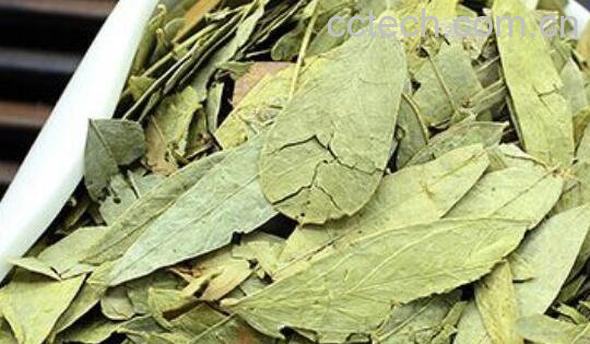 番泻叶的功效与作用 番泻叶的副作用-0