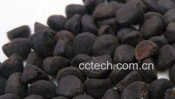 牵牛子的功效与作用 牵牛子的毒副作用-0