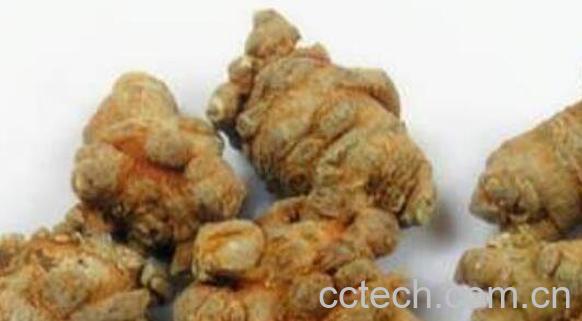 田三七和三七的区别 三七的功效与作用-1