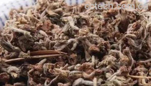 芫花根煮鸡蛋的功效与作用-0