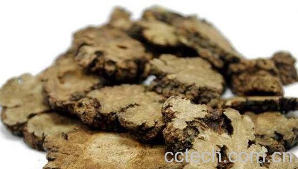 川芎的功效与作用 川芎的副作用-1