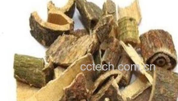 合欢皮的功效与作用 合欢皮的药用价值-0