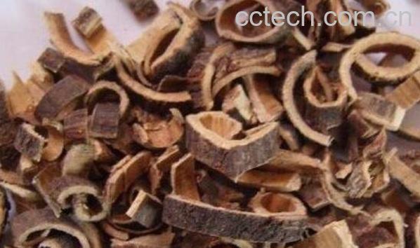 合欢皮的功效与作用 合欢皮的药用价值-1