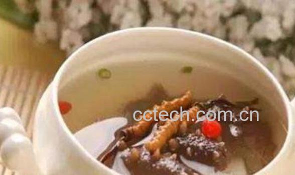 虫草怎么吃 虫草的正确食用方法-1