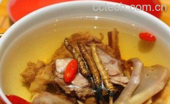 虫草怎么吃 虫草的正确食用方法-0