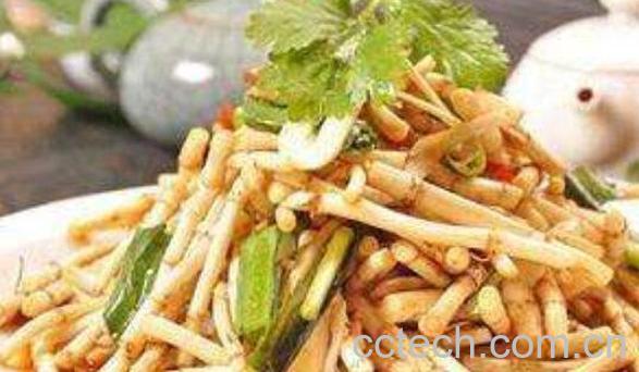 鱼腥草怎么吃 鱼腥草的常见吃法-1