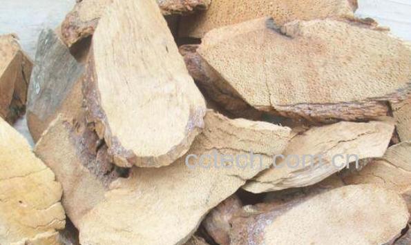 野生猕猴桃根怎么泡酒 野猕猴桃根泡酒的做法-1