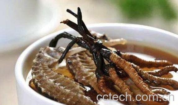 冬虫夏草怎么吃-0