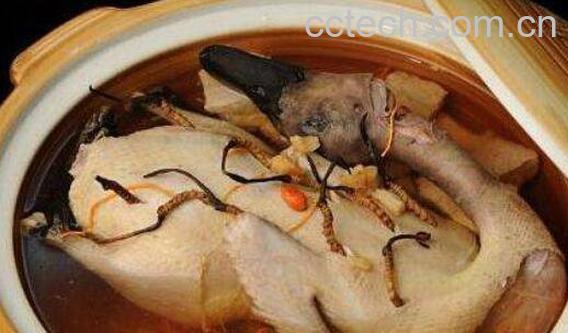 冬虫夏草怎么吃-1