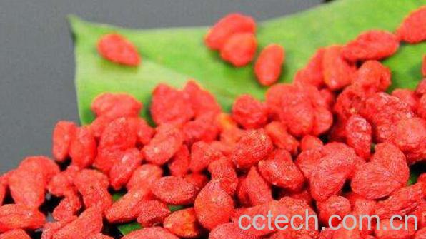 枸杞怎样容易打成粉 自制枸杞粉的方法技巧-1