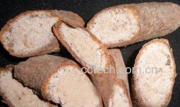 猕猴桃根怎么泡水喝 猕猴桃根可以长期喝吗-1