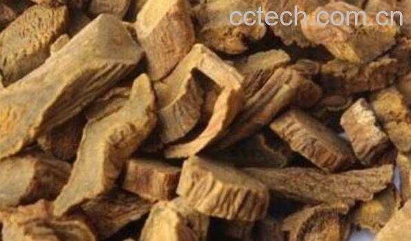 猕猴桃根怎么吃 猕猴桃根怎么煮才正确-1