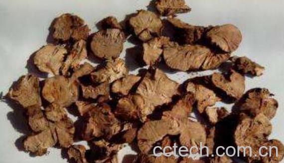 中药黑骨头的功效与作用-0