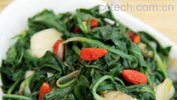 蒲公英怎么腌制 蒲公英咸菜的腌制方法-1