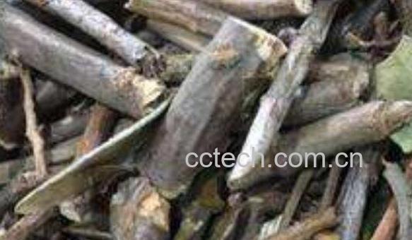 软筋藤的功效与作用 软筋藤有什么副作用-1