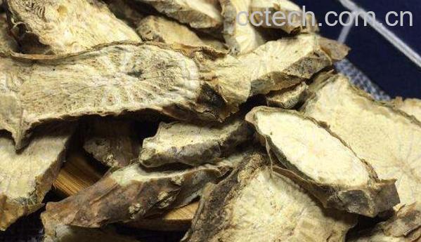 宽筋藤的作用与功效 宽筋藤的药用价值-0