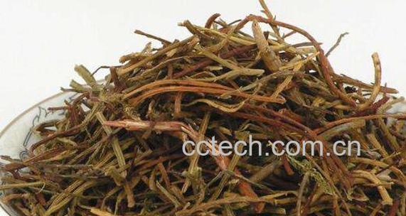 松筋藤的功效与禁忌-1