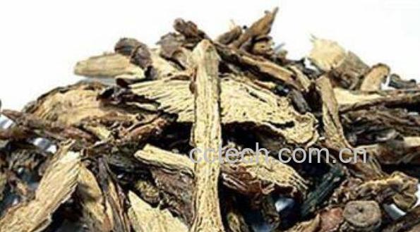 松筋藤的功效与禁忌-0