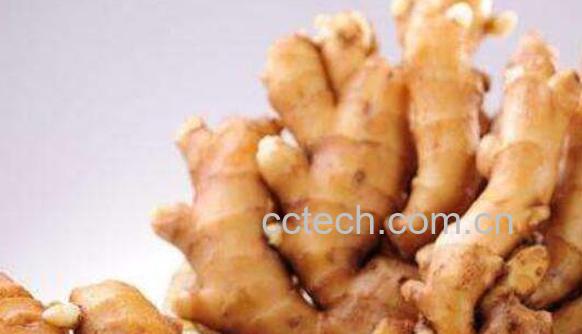 姜黄卵磷脂的功效与作用-1