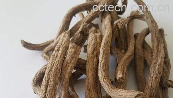 紫金龙根泡酒的功效与作用-0