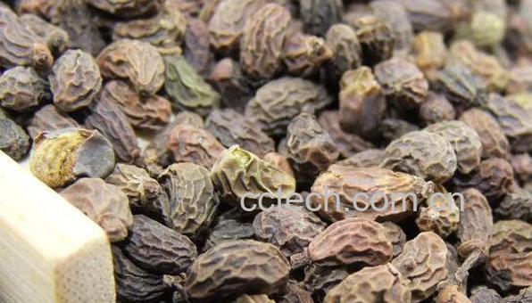 女贞子泡水喝的功效-1