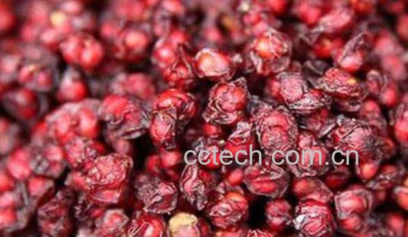 醋五味子和五味子有什么区别 五味子的食用方法-0