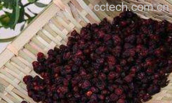 醋五味子和五味子有什么区别 五味子的食用方法-1