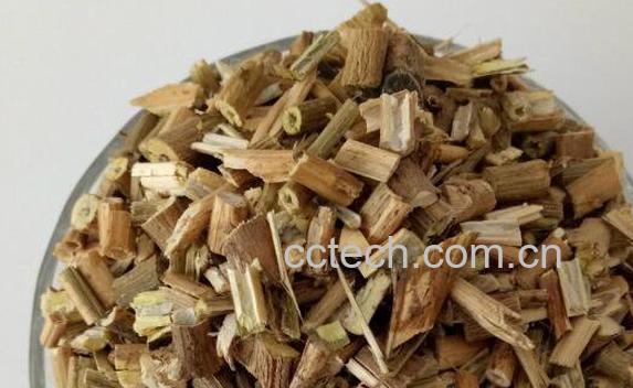 白英与白毛藤的区别-1