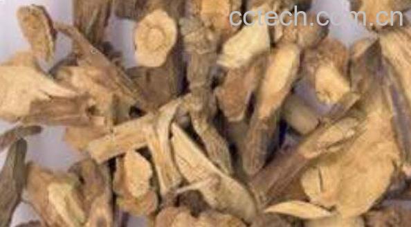 山苍了根的功效与作用-0