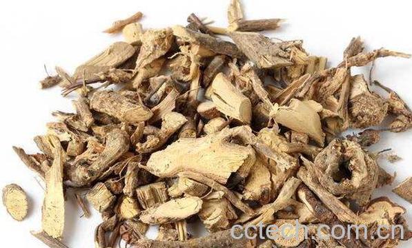 山樟子根的功效与作用-1