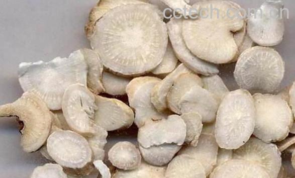 白芍药的功效与作用及食用方法-0