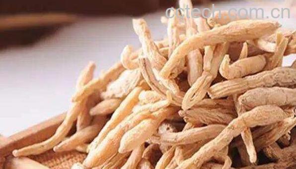 太子参的功效与作用 太子参怎么吃最好-0