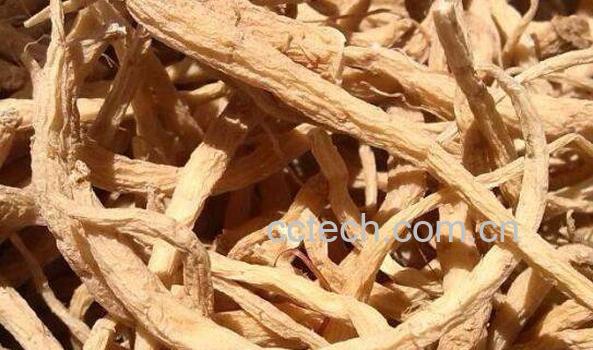 太子参的功效与作用 太子参怎么吃最好-1