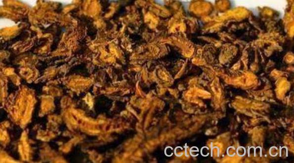 川连的功效与作用 川连的药用价值-0