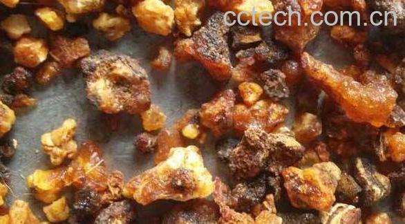 没药的功效与作用 没药的副作用-1