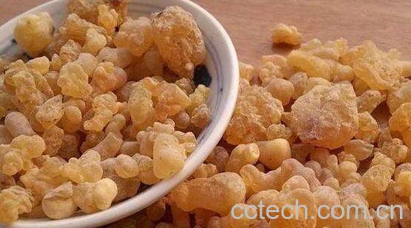 乳香的功效与作用 乳香的副作用-1